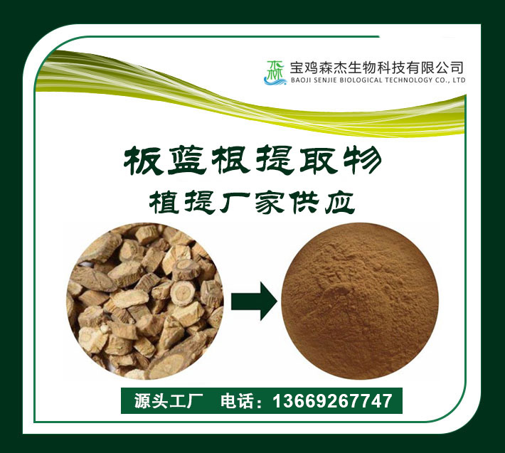 板藍(lán)根提取物