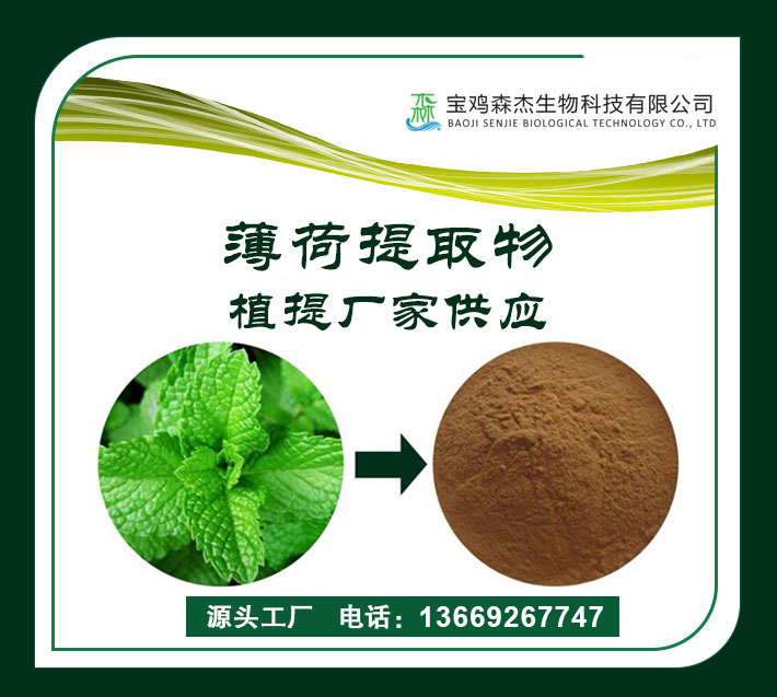 薄荷提取物